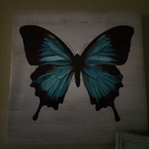 For You blue and Black Butterfly Canvas Art